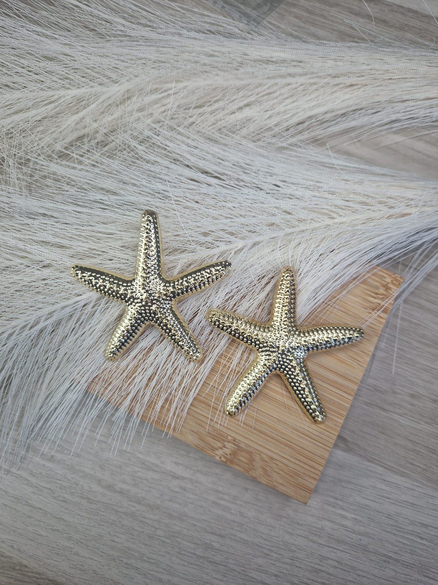 Pendientes Estrella Marina